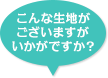 こんな生地がございますがいかがですか？